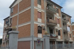 IMG_20230208_112309 (2)